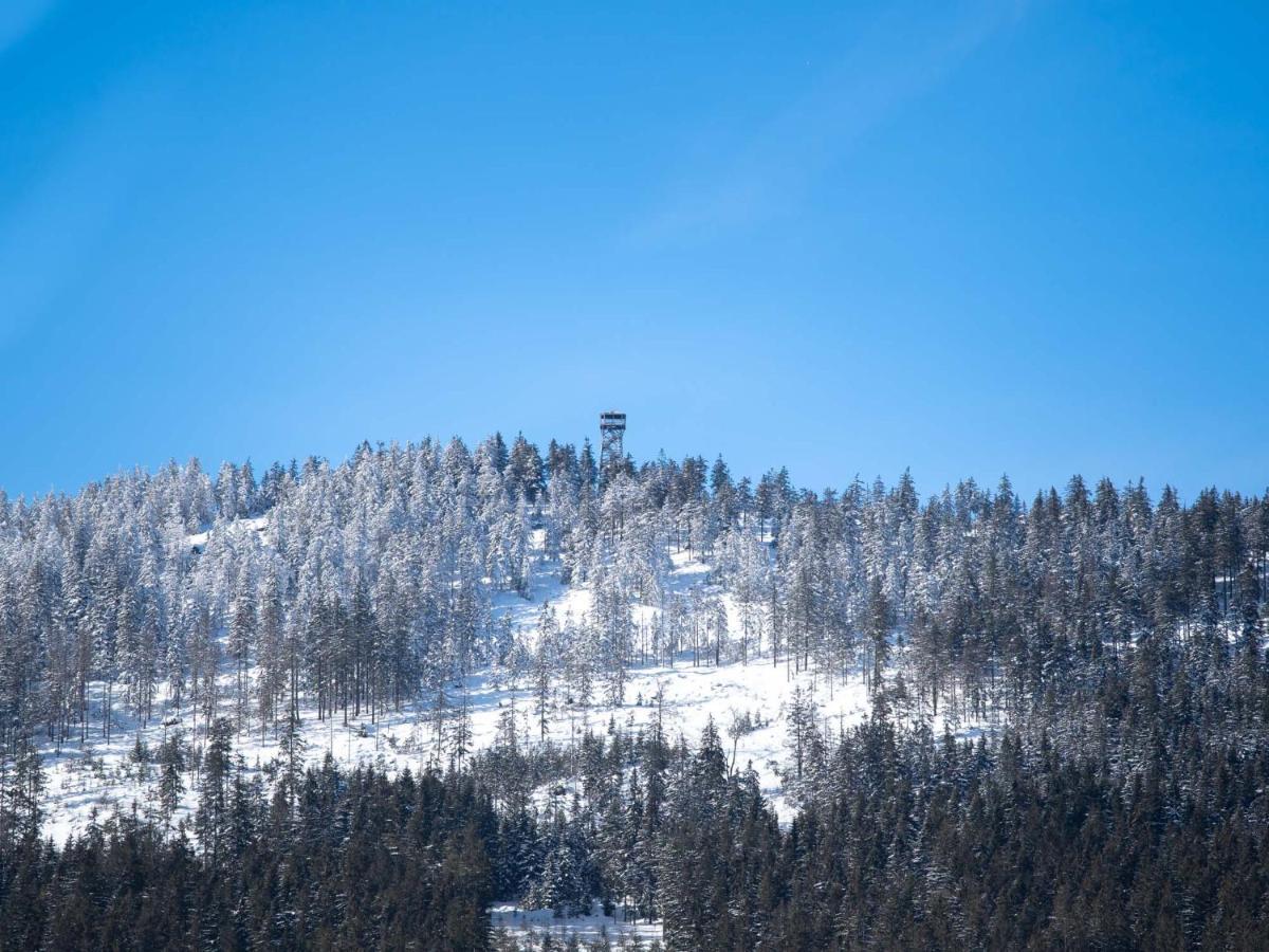 Treehous Sneznik S Wellness Otel Dolní Morava Dış mekan fotoğraf