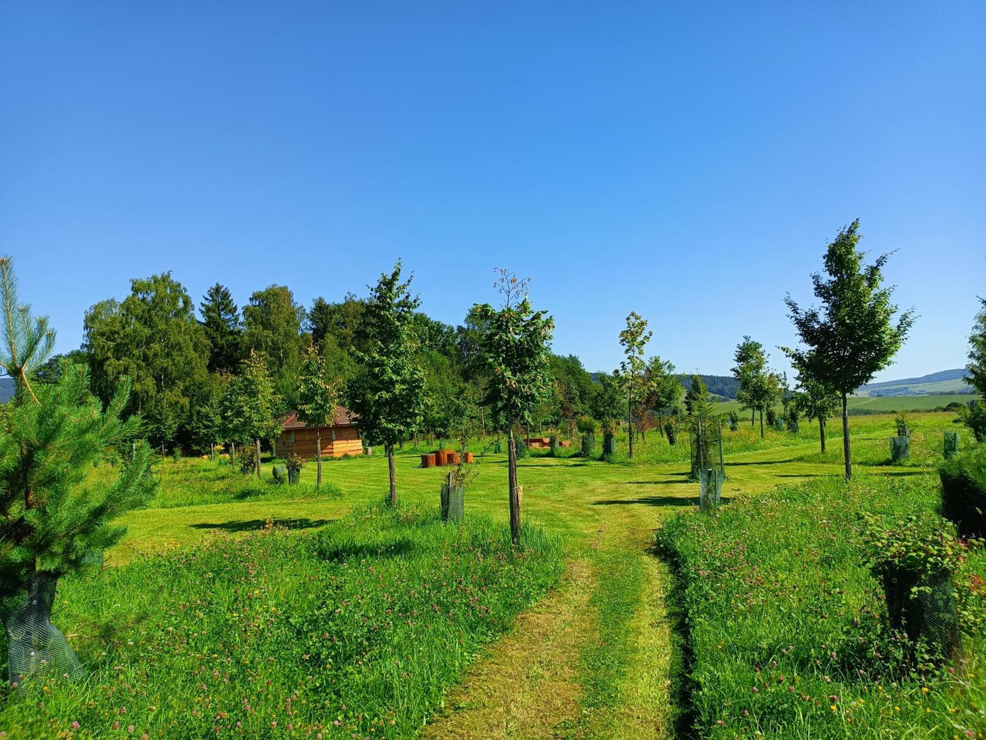Treehous Sneznik S Wellness Otel Dolní Morava Dış mekan fotoğraf